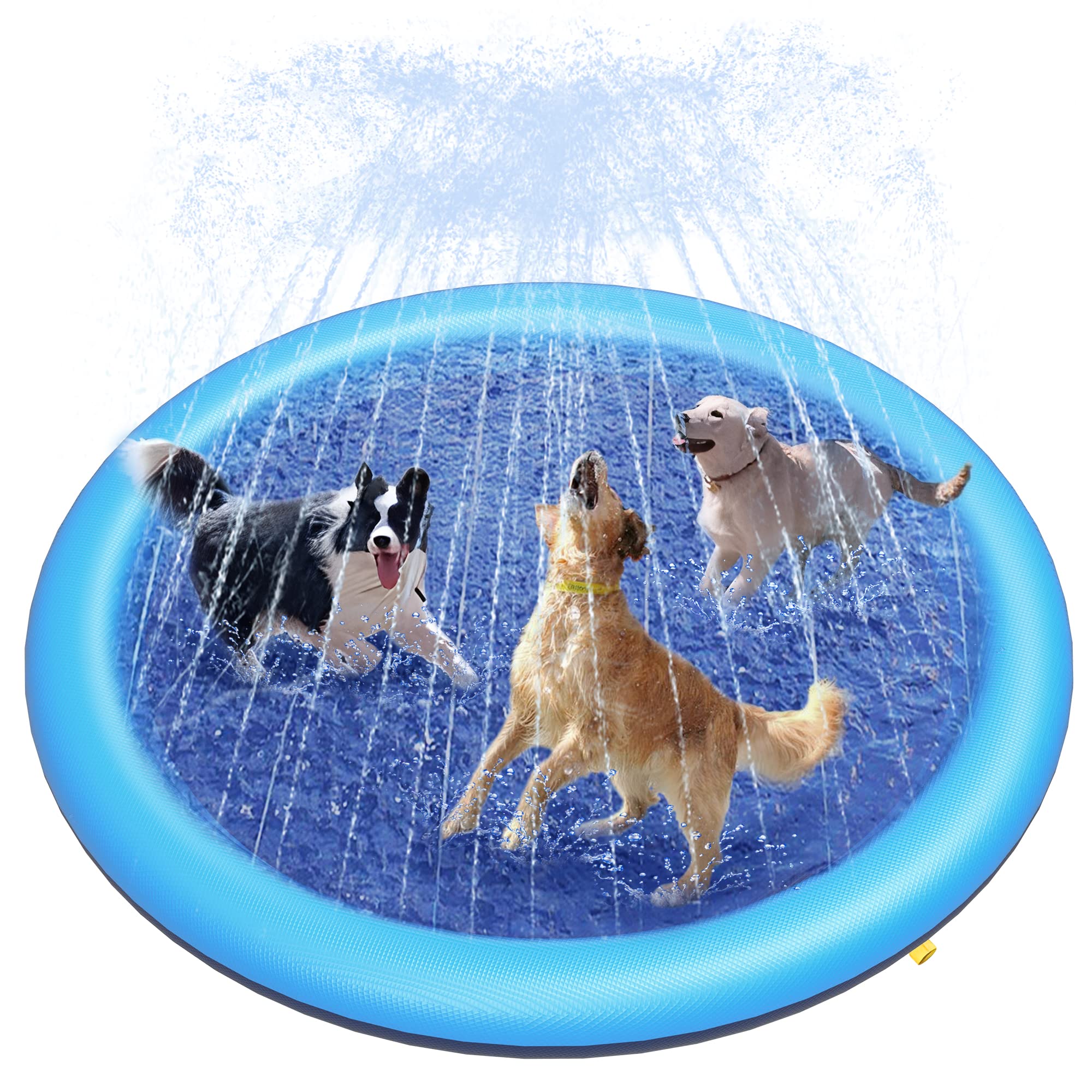 Outdoor Rug Waterproof - Alfombra de Juego Acuática para Perros,
