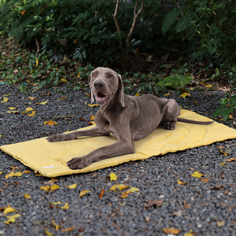 Alfombrilla portátil plegable  - Outdoor Rug Waterproof reseña y precio